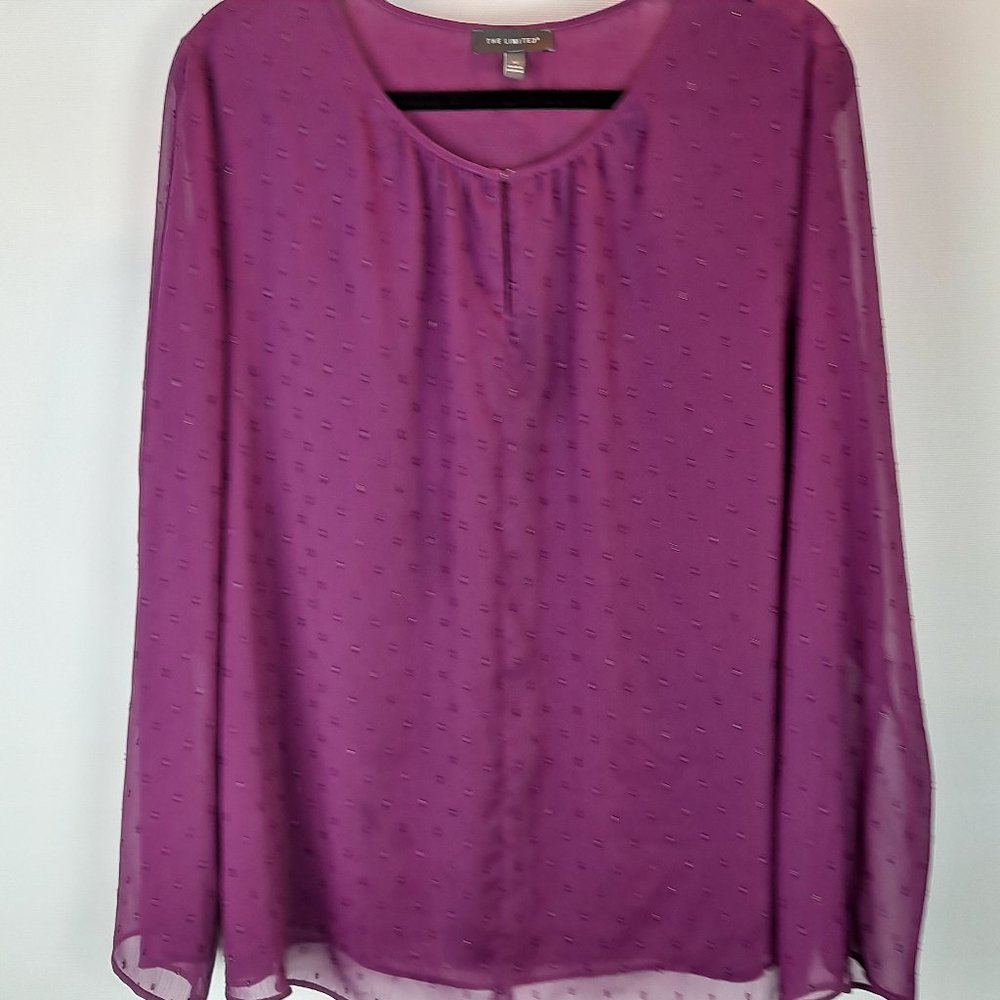 The Limited Sheer / Overlay Long-Sleeve Blouse Size 1X